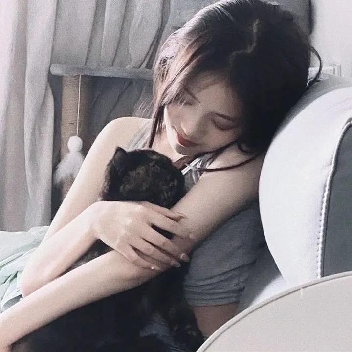 疯狂的狮王